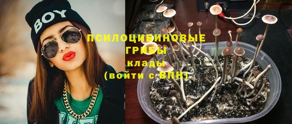 не бодяженный Гусиноозёрск