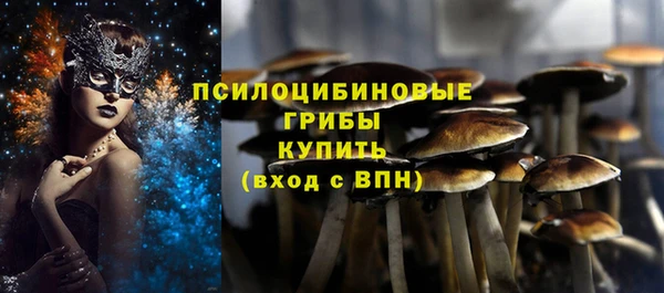 jwh Гусев